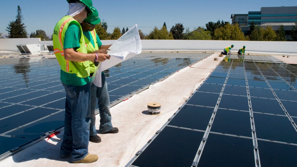 Bee Solar Energy
